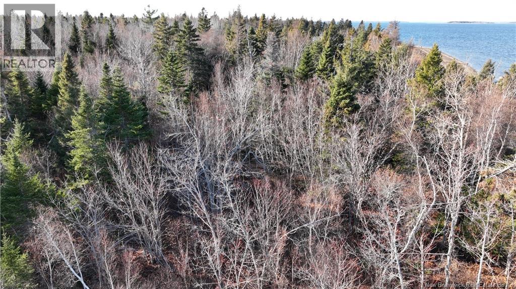 Lot 10-2 Hardwick Road, Hardwicke, New Brunswick  E9A 1L6 - Photo 6 - NB125436