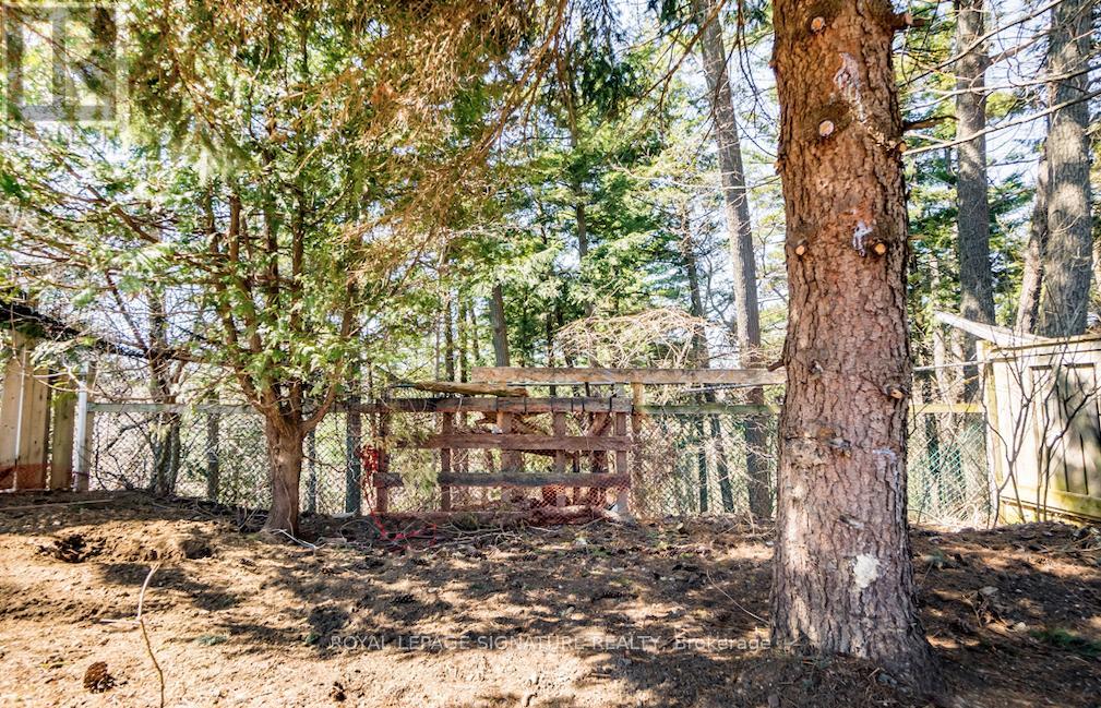 Bsmt - 144 Overture Road, Toronto, Ontario  M1E 2W4 - Photo 18 - E12574790