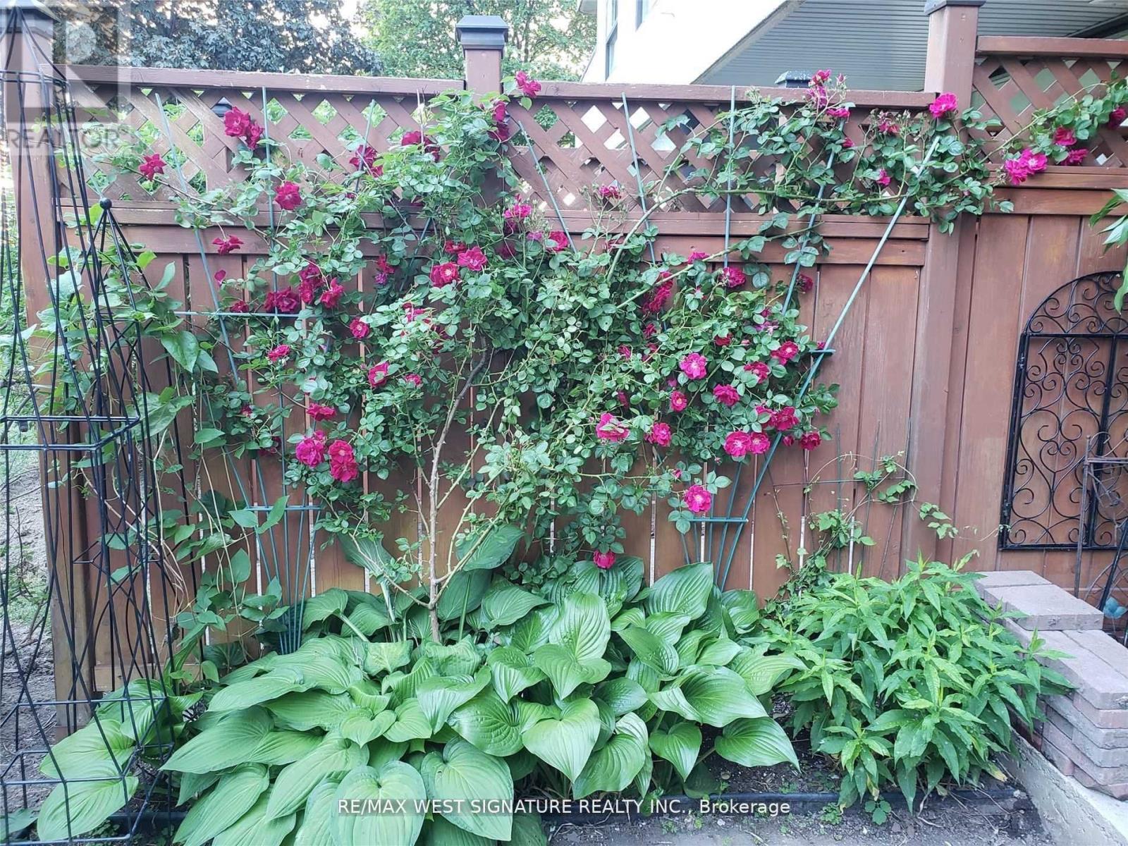 111 - 20 Harding Boulevard, Richmond Hill, Ontario L4C 9S4 - Photo 25 - N12574766