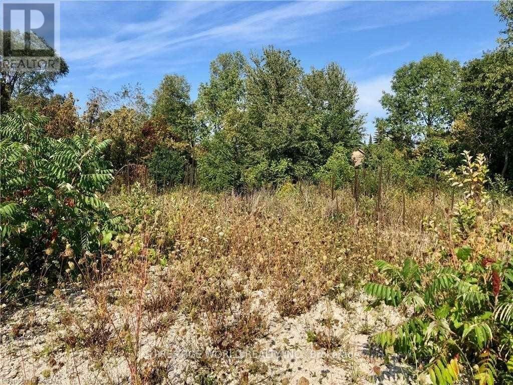 9776 Beachwood Road, Collingwood, Ontario  L9Y 3Z1 - Photo 2 - S12574830