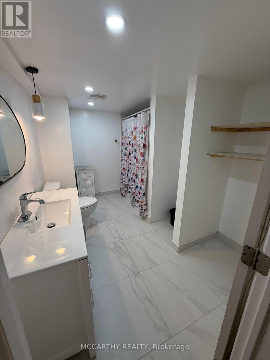 Lower - 480 Black Cherry Crescent, Shelburne, Ontario  L9V 3Y7 - Photo 14 - X12401981