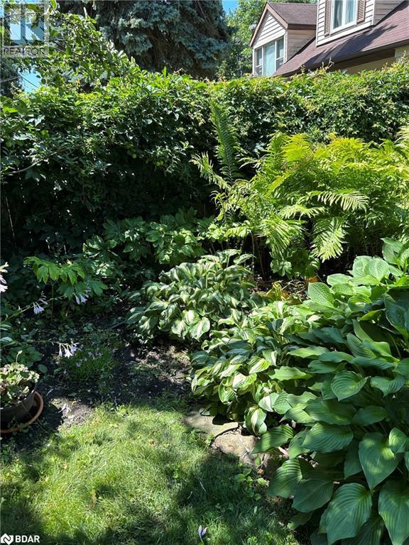 289 Spruce Street, Oakville, Ontario  L6J 2G8 - Photo 40 - 40790008