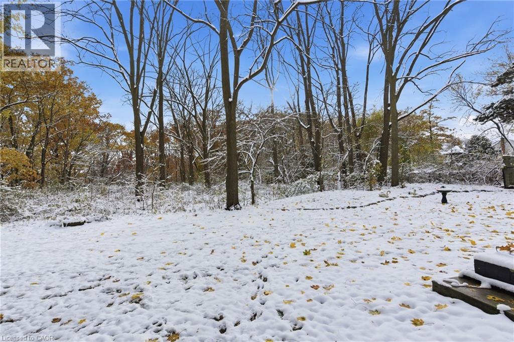 16 Freeland Court, Hamilton, Ontario  L8S 3R5 - Photo 37 - 40787879