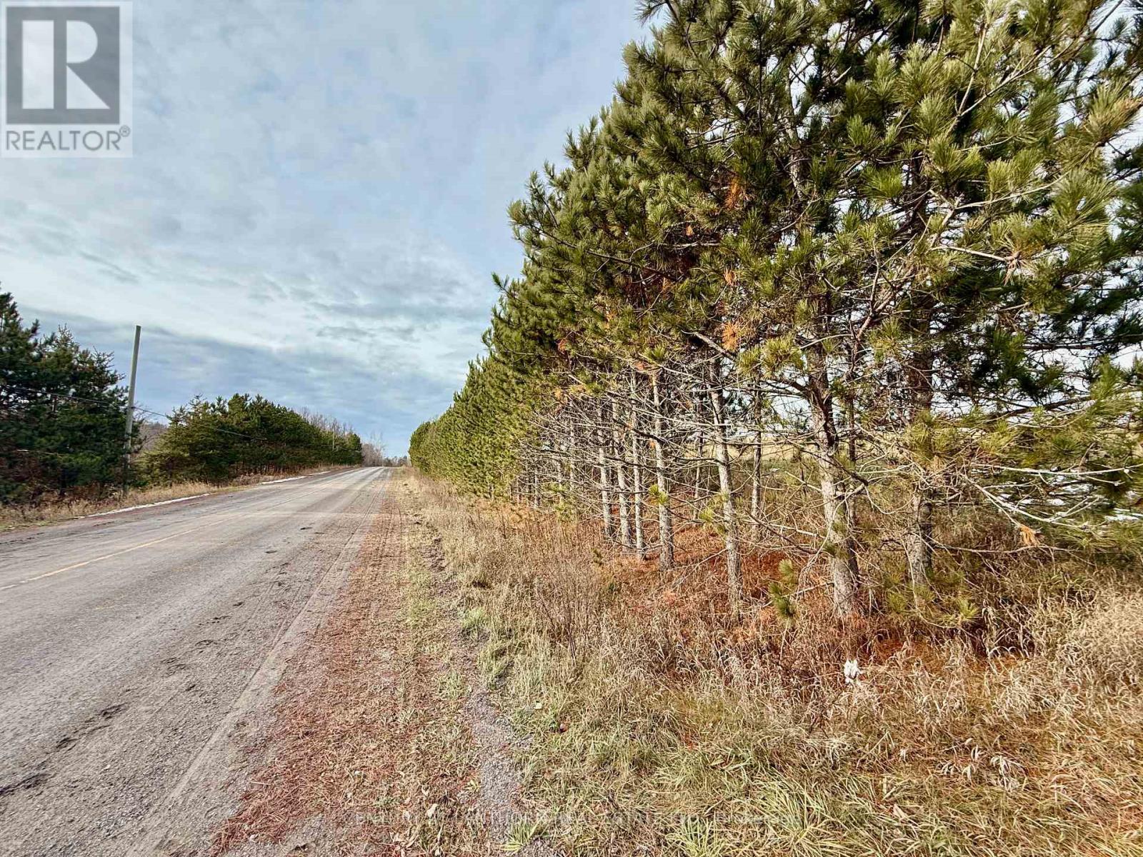 0 Deloro Road, Madoc, Ontario  K0K 2K0 - Photo 17 - X12575292