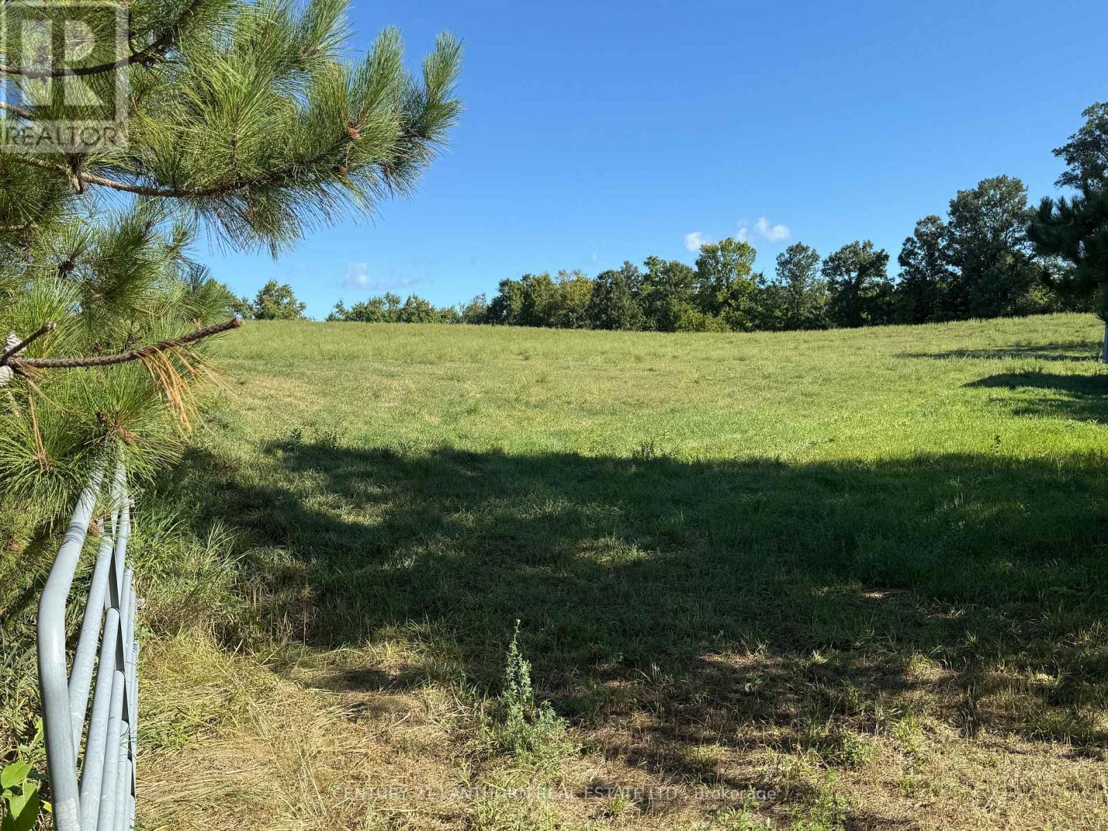 0 Deloro Road, Madoc, Ontario  K0K 2K0 - Photo 3 - X12575292