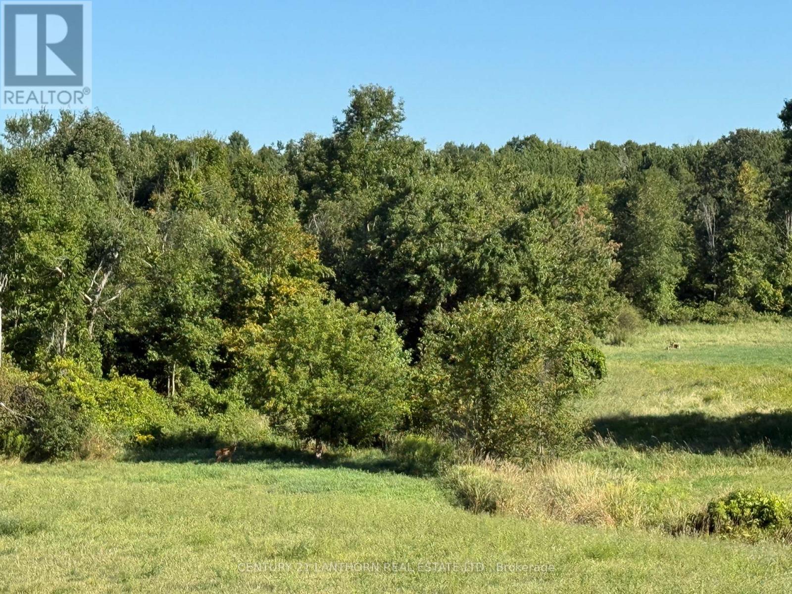 0 Deloro Road, Madoc, Ontario  K0K 2K0 - Photo 6 - X12575292