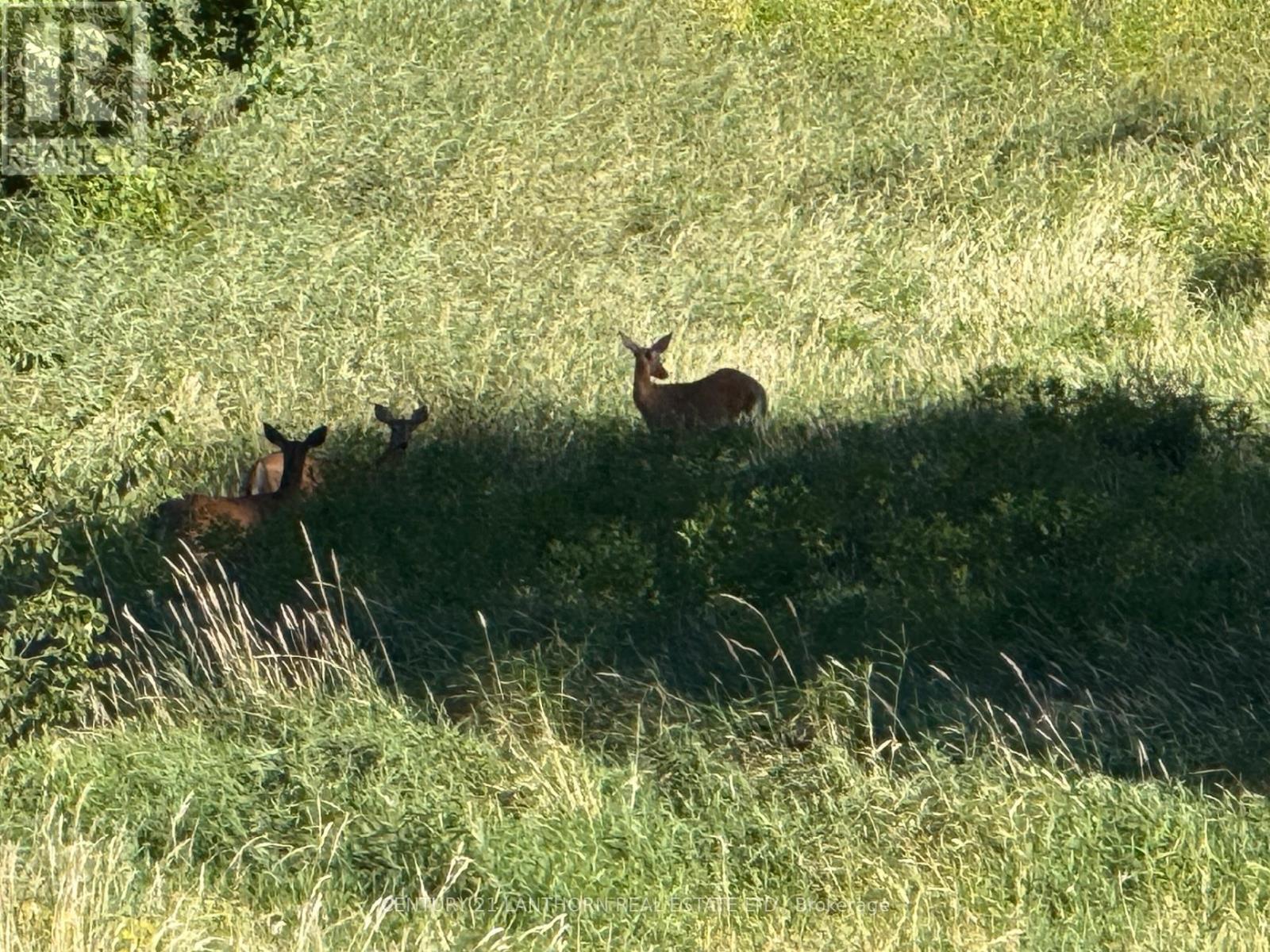 0 Deloro Road, Madoc, Ontario  K0K 2K0 - Photo 7 - X12575292