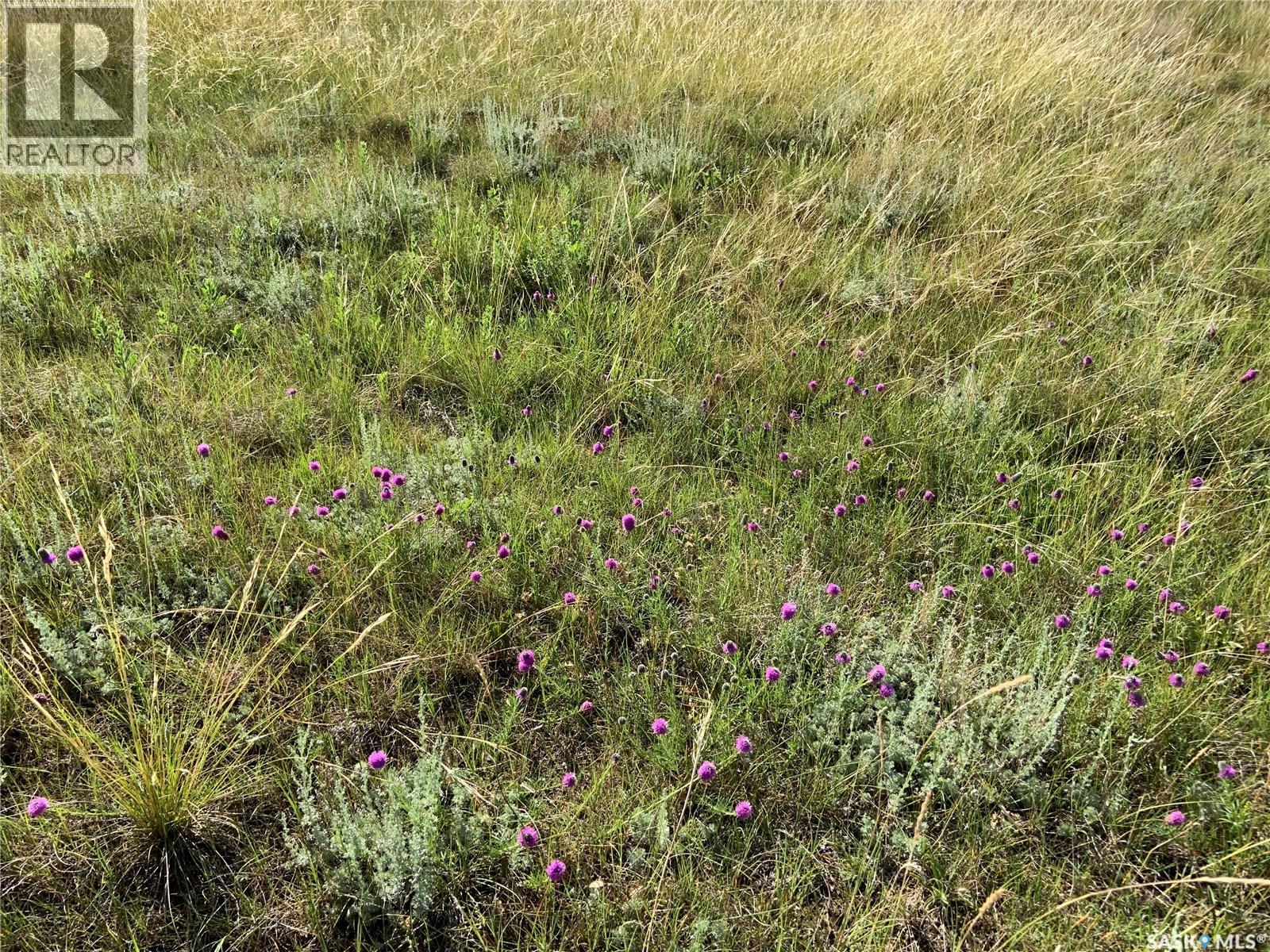 132 Olsen Road, Last Mountain Lake East Side, Saskatchewan  S0G 0L0 - Photo 4 - SK024621