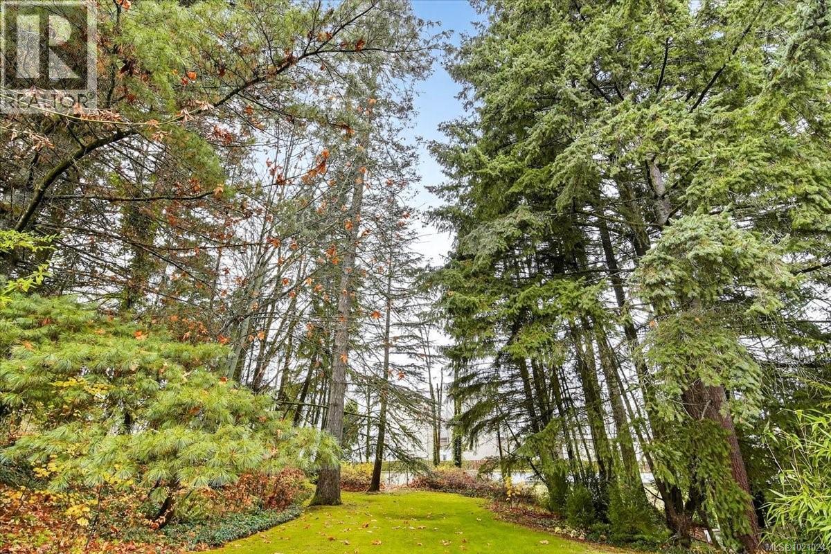 3968 3rd Ave, Port Alberni, British Columbia V9Y 6G2 - Photo 49 - 1021024