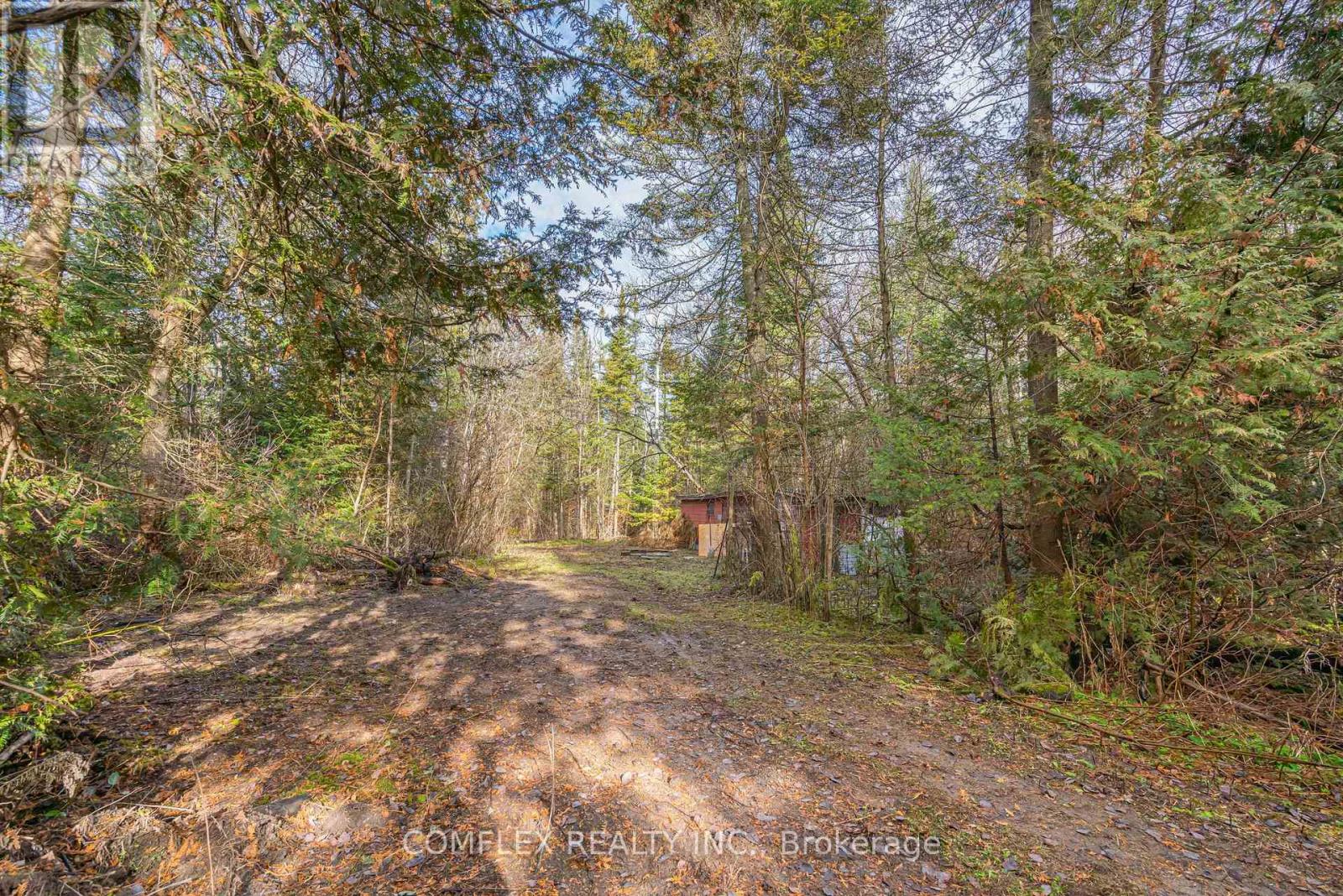 222 Davis Drive, Uxbridge, Ontario L4A 7X4 - Photo 23 - N12575248