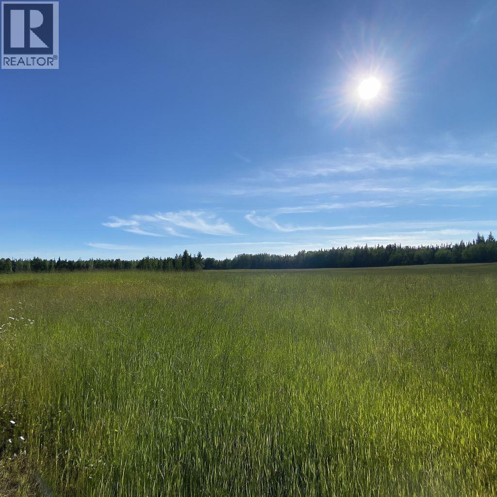 DL 5559 S MCBRIDE TIMBER ROAD, Upper Mud, British Columbia