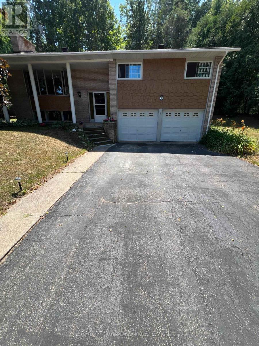 19 Forest Hill Road, Bancroft, Ontario  K0L 1C0 - Photo 3 - X12575202