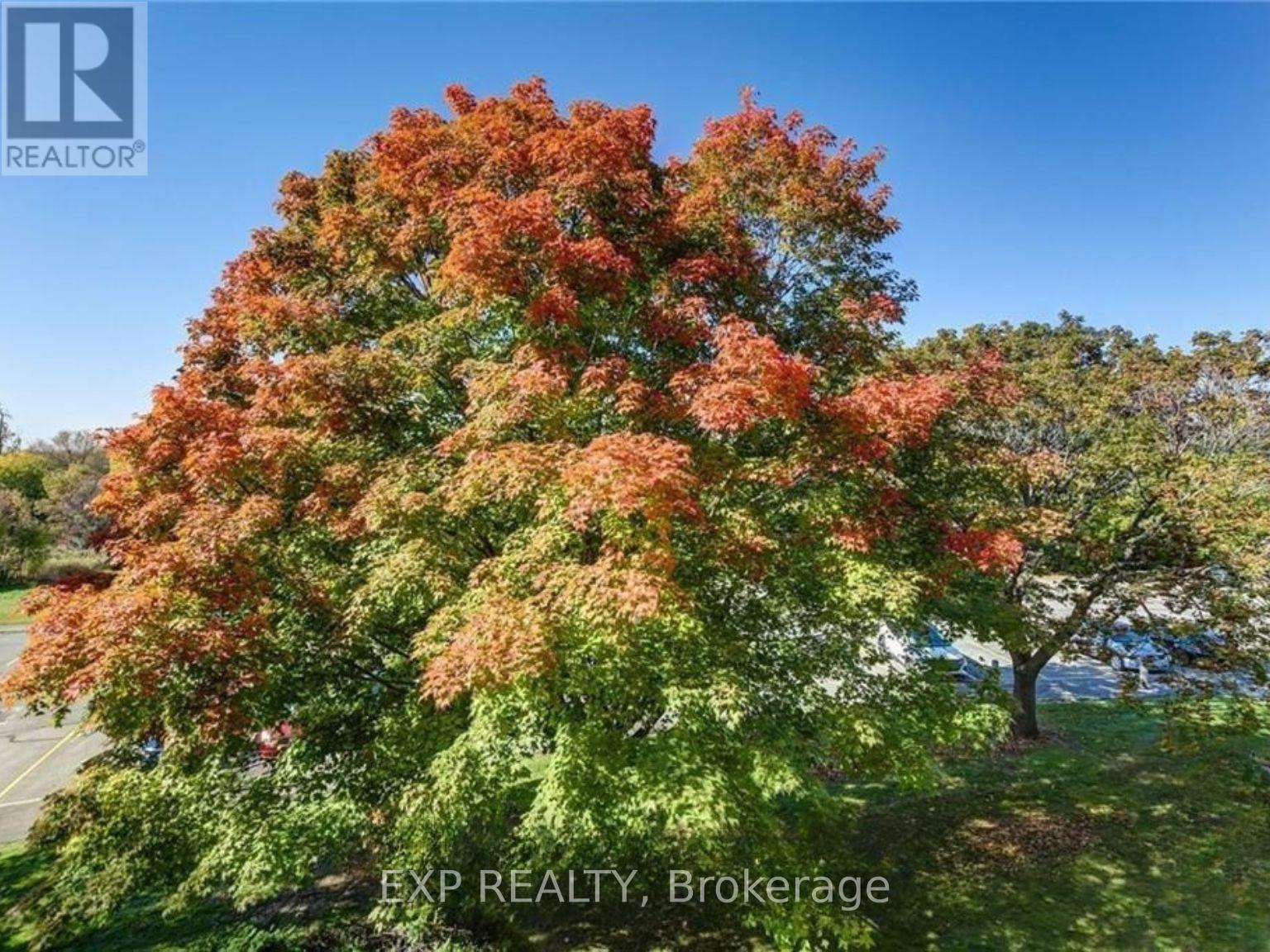 306 - 6376 Bilberry Drive, Ottawa, Ontario  K1C 4P6 - Photo 32 - X12470216