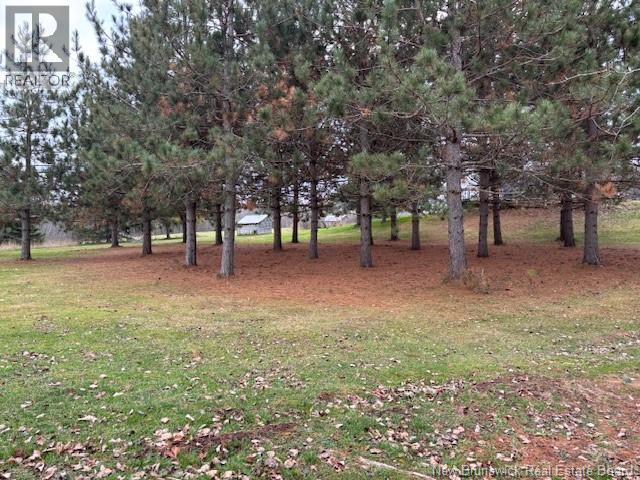 10 Adair Road, Waterford, New Brunswick  E4E 4V9 - Photo 34 - NB130522