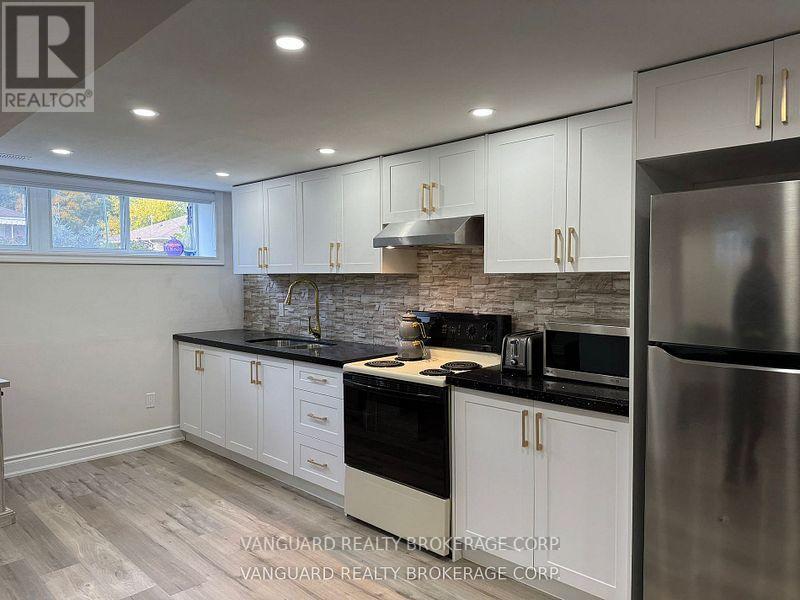 Basement - 53 Haida Drive E, Aurora, Ontario  L4G 3C6 - Photo 3 - N12575522