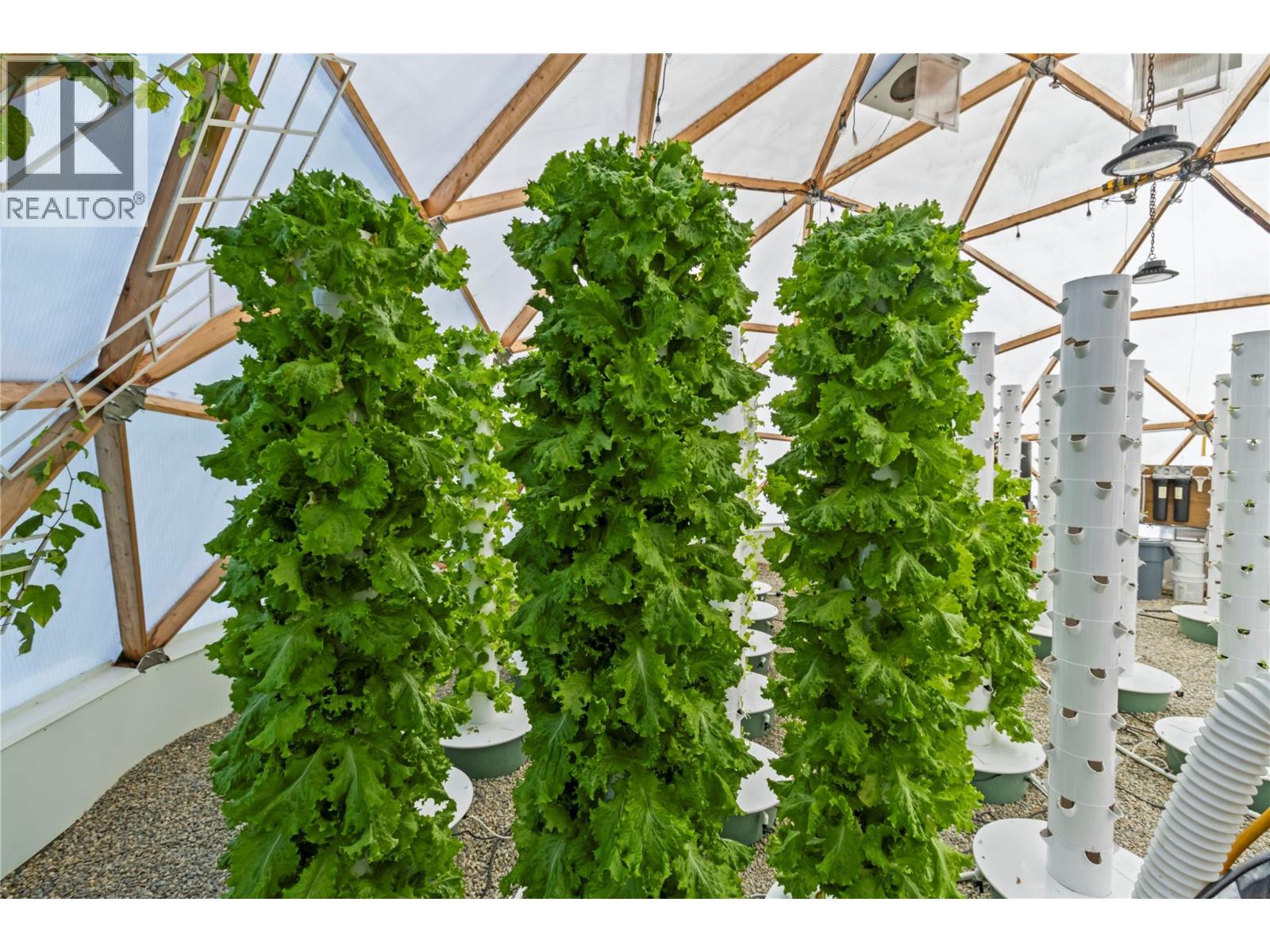 397 Glenmary Road, Enderby, British Columbia  V0E 1V3 - Photo 45 - 10369946