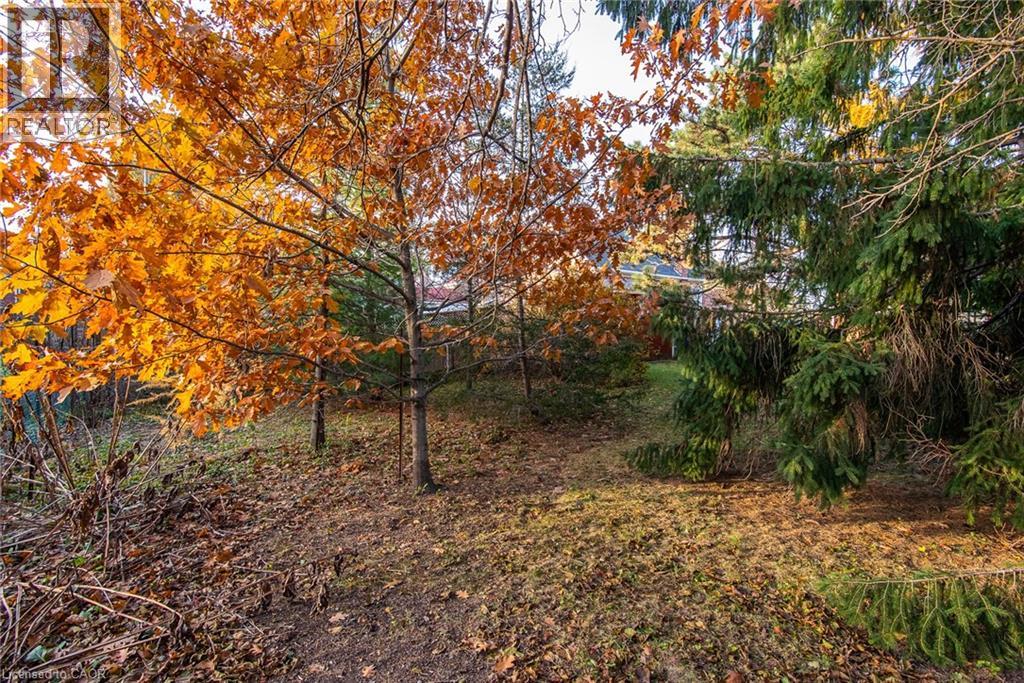 69 Floral Crescent, Kitchener, Ontario  N2G 3B3 - Photo 38 - 40787153