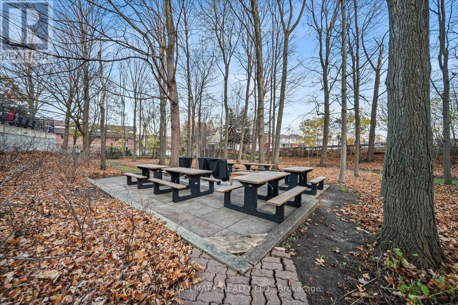 1504 - 121 Ling Road, Toronto, Ontario  M1E 4Y2 - Photo 47 - E12575716