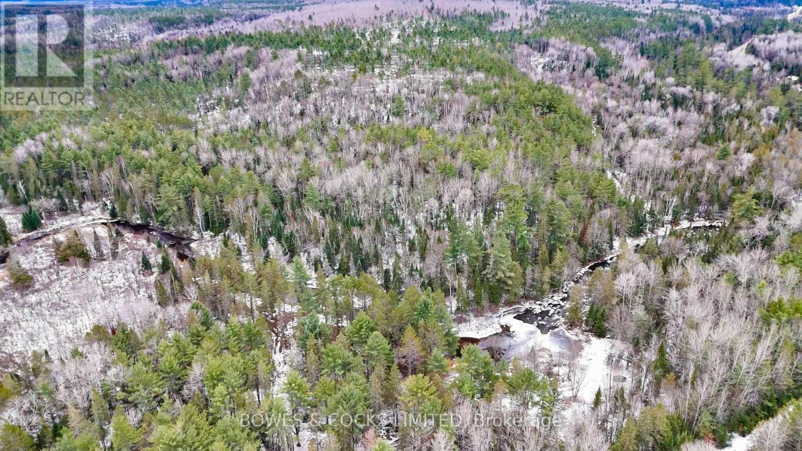 0 Park Road, Hastings Highlands, Ontario  K0L 2R0 - Photo 8 - X12575834