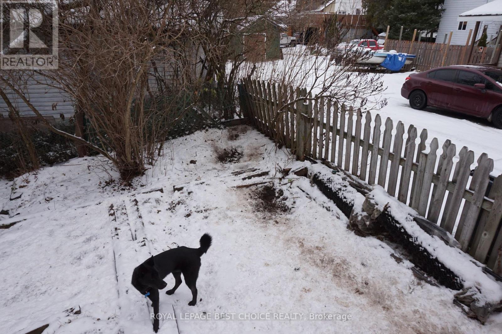 40 Prospect Avenue, Cobalt, Ontario  P0J 1C0 - Photo 26 - T12575766