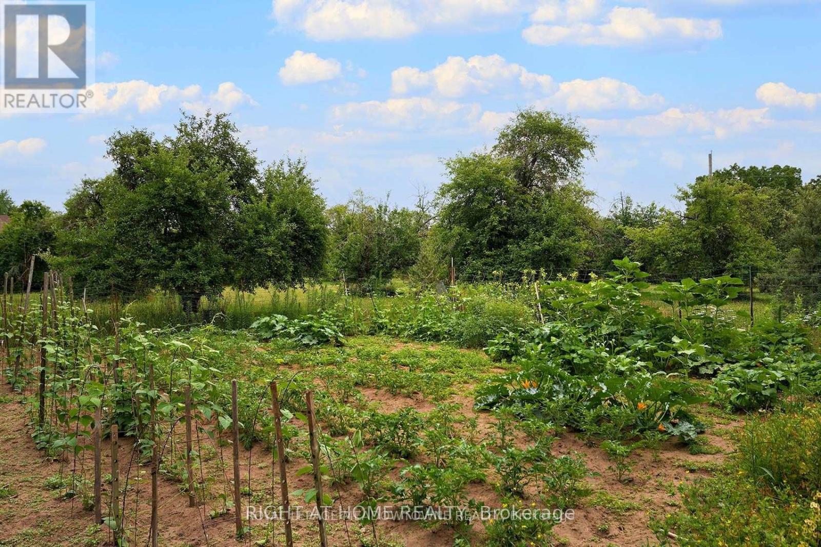 8774 Creditview Road, Brampton, Ontario  L6Y 0G4 - Photo 21 - W12575878