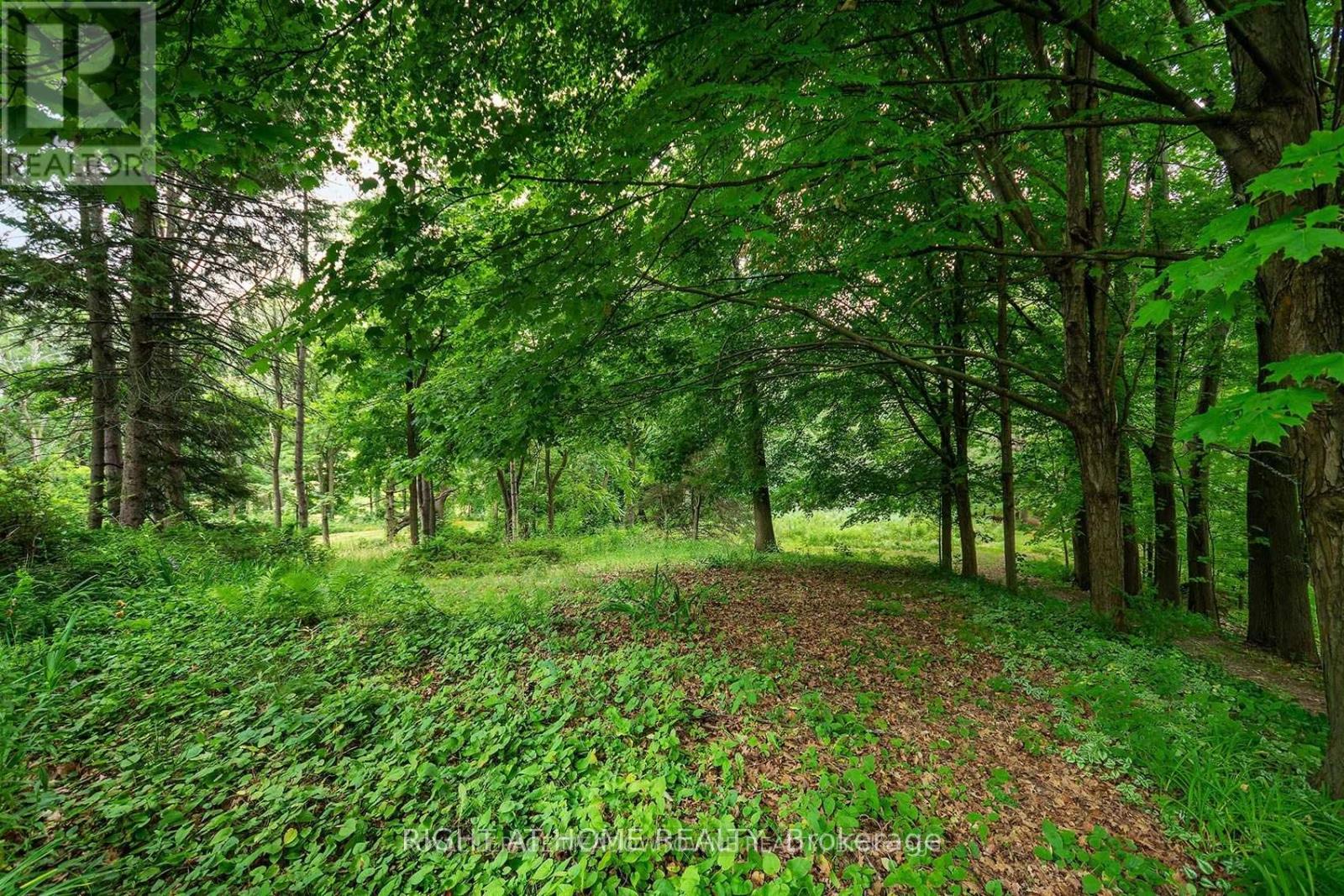 8774 Creditview Road, Brampton, Ontario  L6Y 0G4 - Photo 26 - W12575878