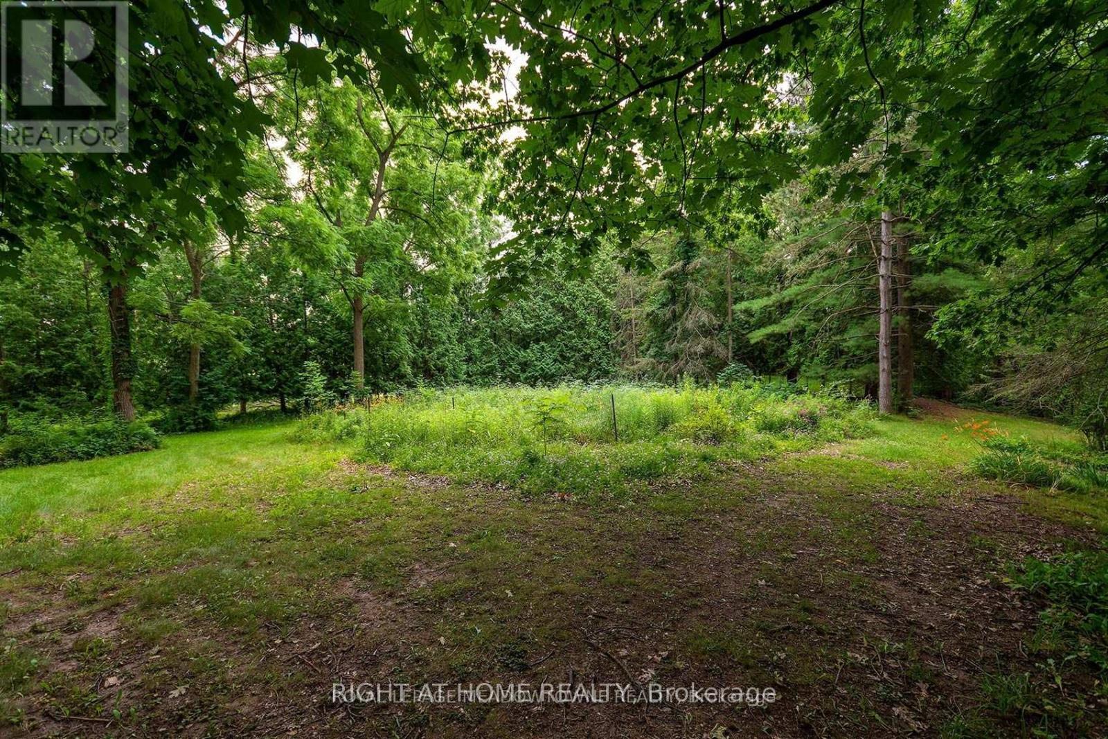 8774 Creditview Road, Brampton, Ontario  L6Y 0G4 - Photo 8 - W12575878