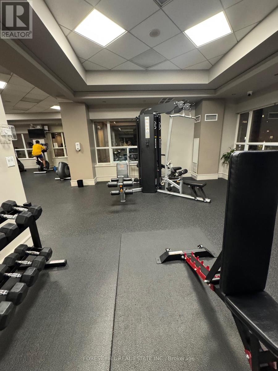 203 - 909 Bay Street, Toronto, Ontario  M5S 3G2 - Photo 22 - C12575948