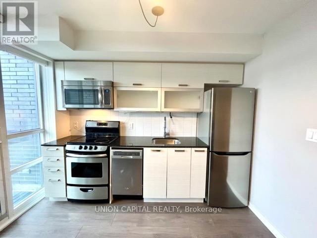 536 - 68 Abell Street, Toronto, Ontario  M6J 0B1 - Photo 6 - C12576004