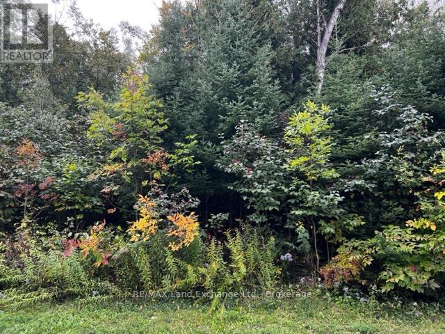 4 Shore Road, Saugeen Shores, Ontario  N0H 2L0 - Photo 1 - X12576140