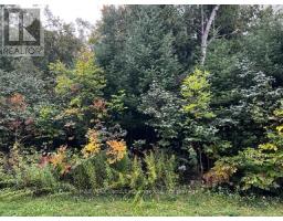 4 SHORE ROAD, saugeen shores, Ontario