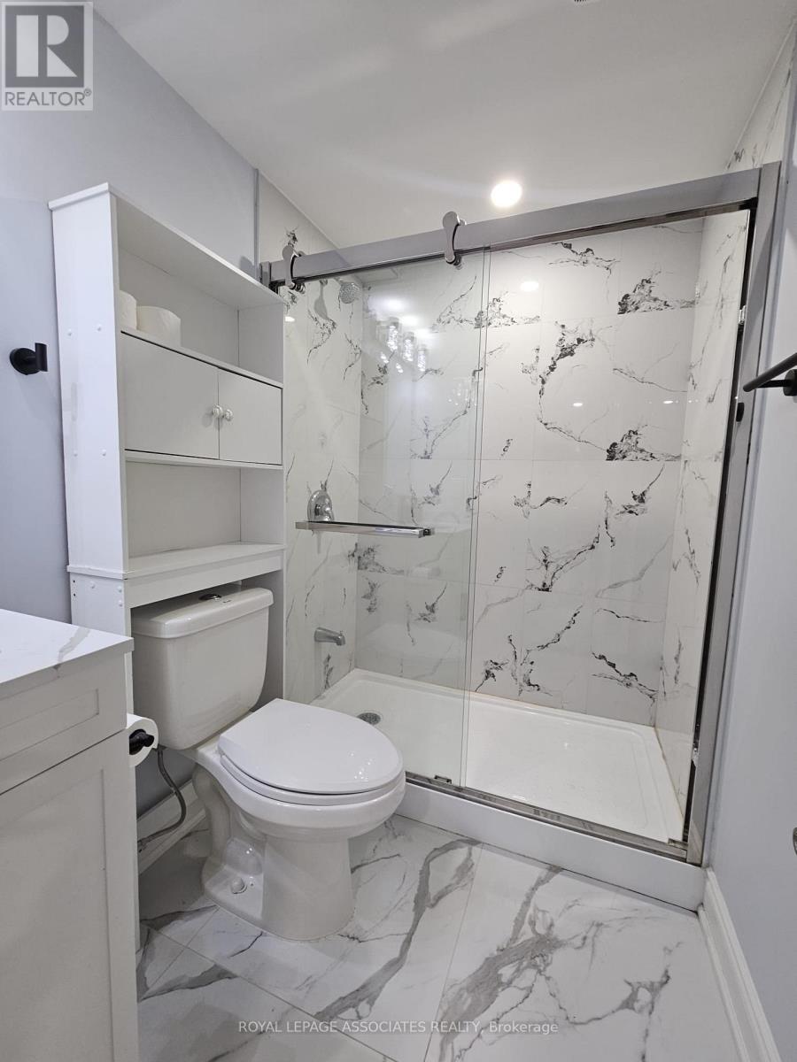 Bsmt - 131 Lloyd Sanderson Drive, Brampton, Ontario  L6Y 0Z8 - Photo 19 - W12575964