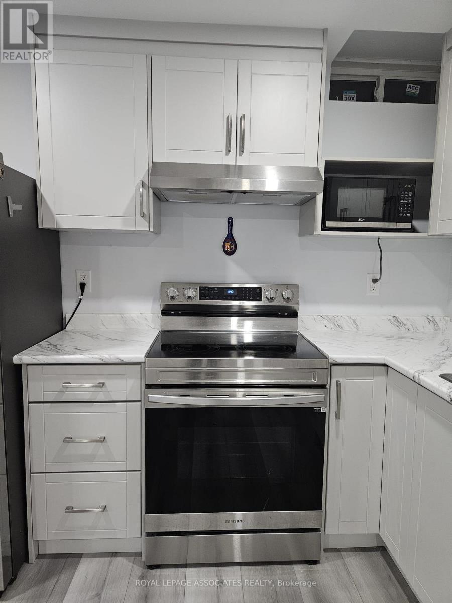 Bsmt - 131 Lloyd Sanderson Drive, Brampton, Ontario  L6Y 0Z8 - Photo 7 - W12575964