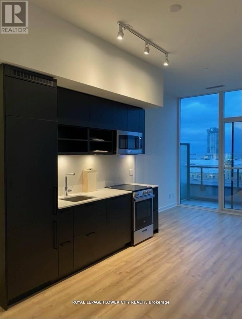 813 - 135 East Liberty Street, Toronto, Ontario  M6K 3P6 - Photo 9 - C12576208