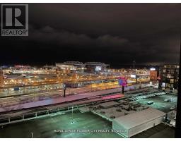 813 - 135 EAST LIBERTY STREET, Toronto, Ontario