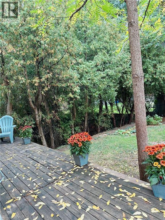 147 Cline Avenue S, Hamilton, Ontario  L8S 1X3 - Photo 22 - 40773468