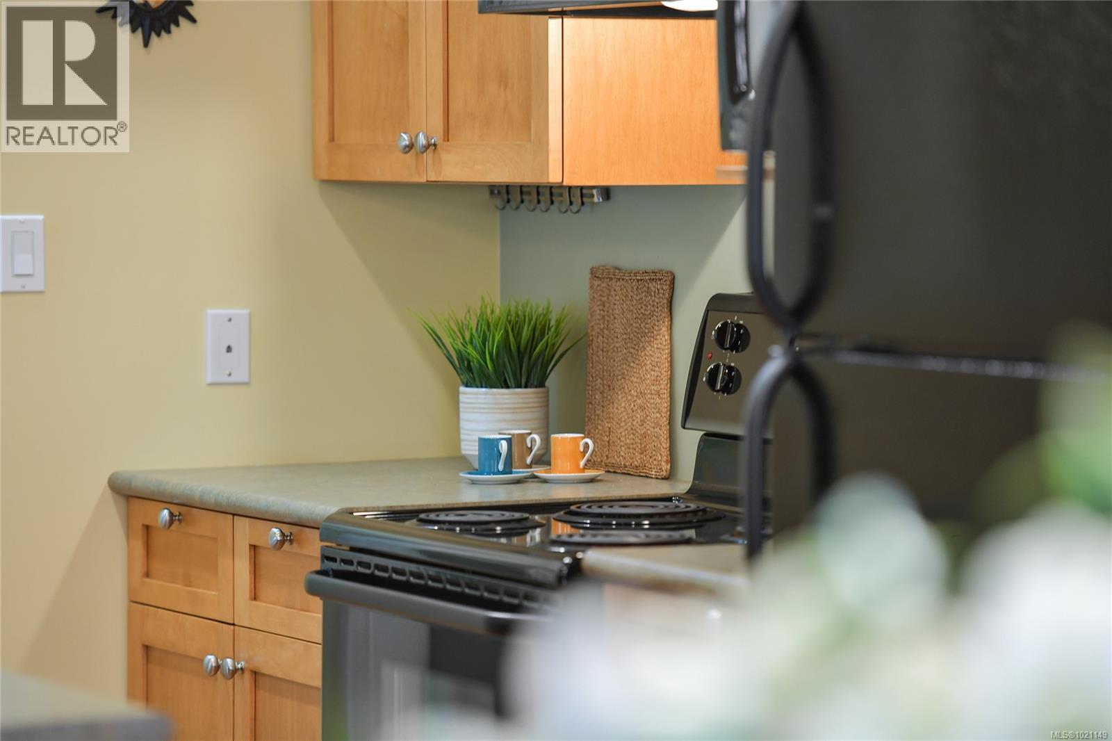 1 1515 Camosun St, Victoria, British Columbia  V8T 3E3 - Photo 12 - 1021149