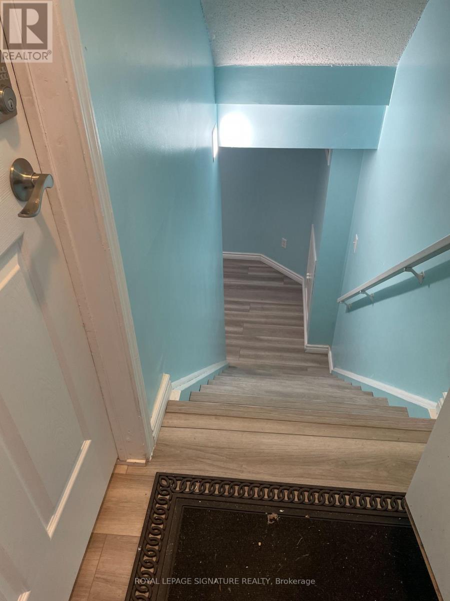 Basement Apartment - 76 Piperbrook Crescent, Toronto, Ontario  M1E 5G9 - Photo 4 - E12574296