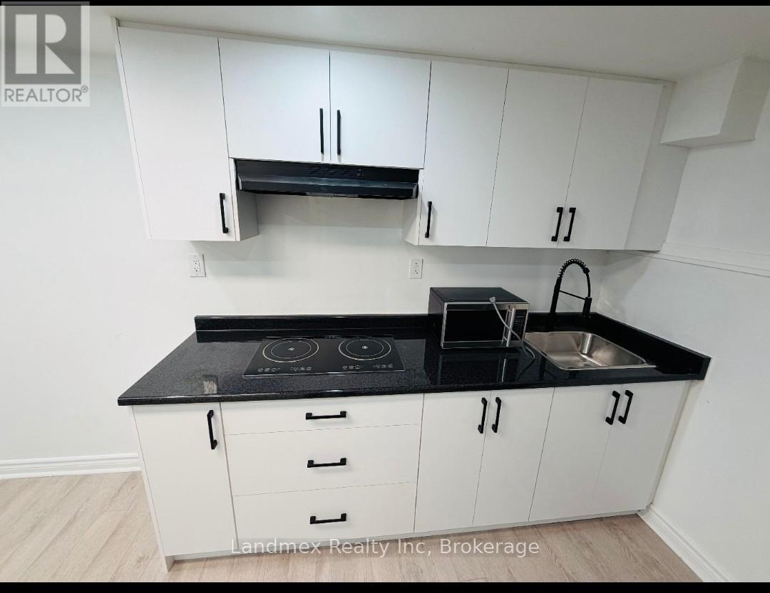 Lower - 6636 Edenwood Drive, Mississauga, Ontario  L5N 3J9 - Photo 4 - W12569752