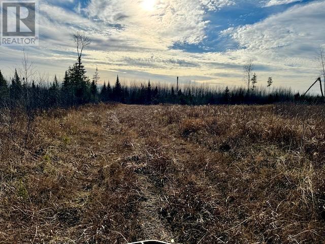 Pcl 17837/24623 Sandy Point Rd, Borups Corners, Ontario  P0V 1P0 - Photo 4 - TB243534