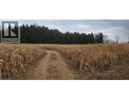 1665 1st Concession Road Str Delhi, Delhi, Ca