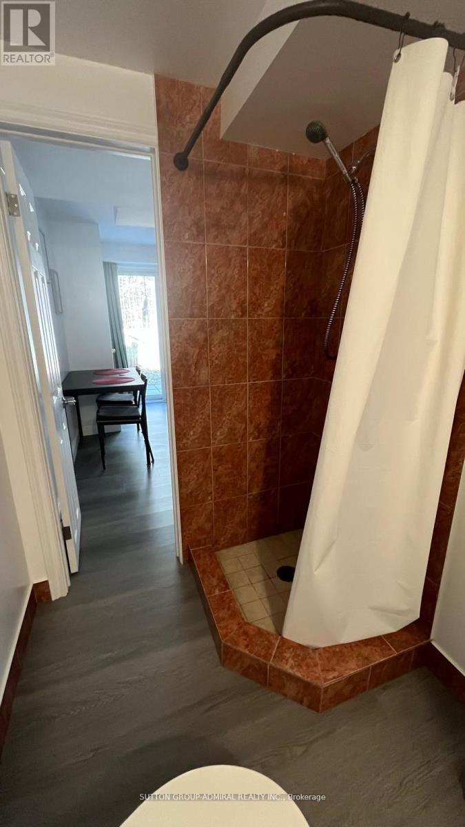 Bsmt - 70 Hawthorne Crescent, Barrie, Ontario  L4N 9Y8 - Photo 5 - S12576320