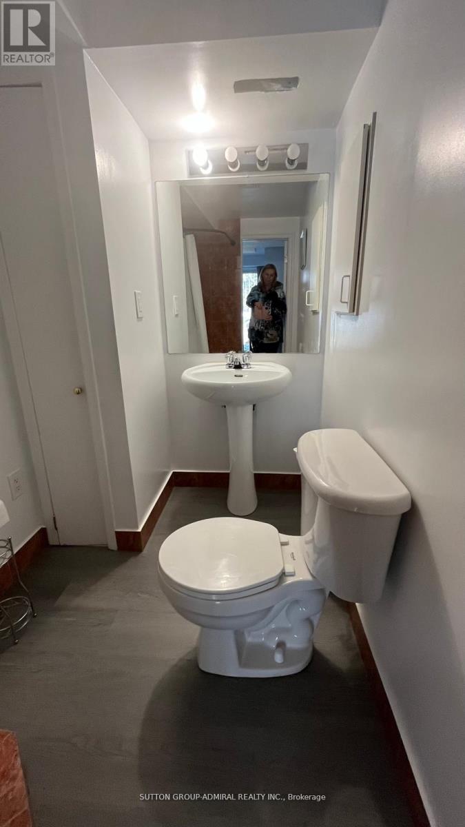 Bsmt - 70 Hawthorne Crescent, Barrie, Ontario  L4N 9Y8 - Photo 6 - S12576320