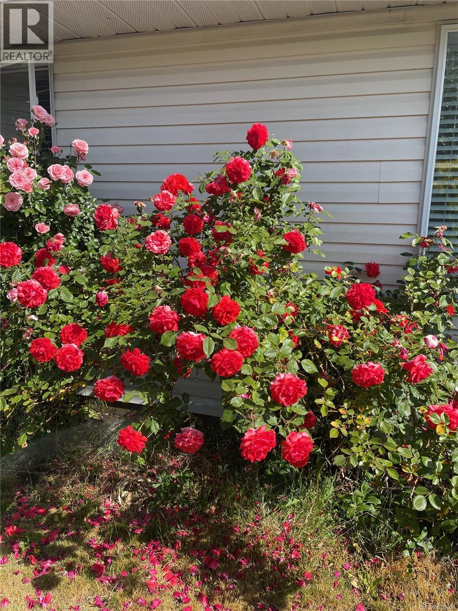 749 Marchmont Rd, Duncan, British Columbia V9L 2L9 - Photo 32 - 1021064