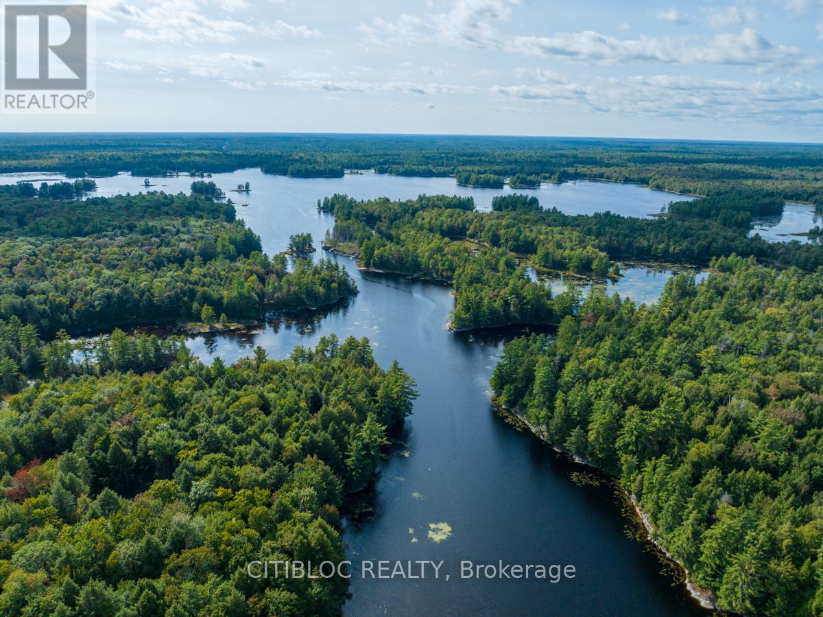 22 Star Gaze Lane, Mcmurrich/monteith, Ontario  P0A 1Y0 - Photo 6 - X12397534