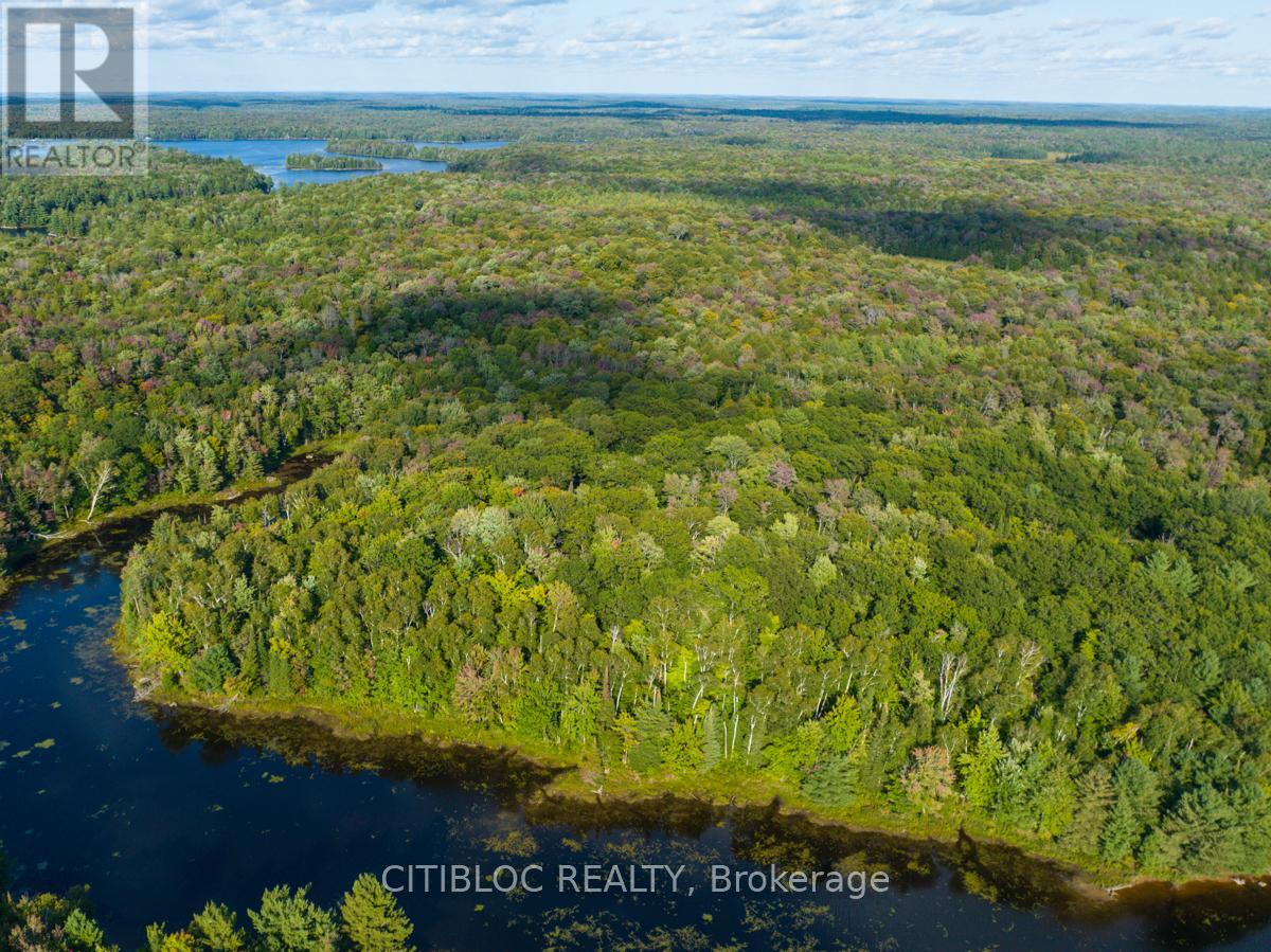 28 Star Gaze Lane, Mcmurrich/monteith, Ontario  P0A 1Y0 - Photo 2 - X12397536