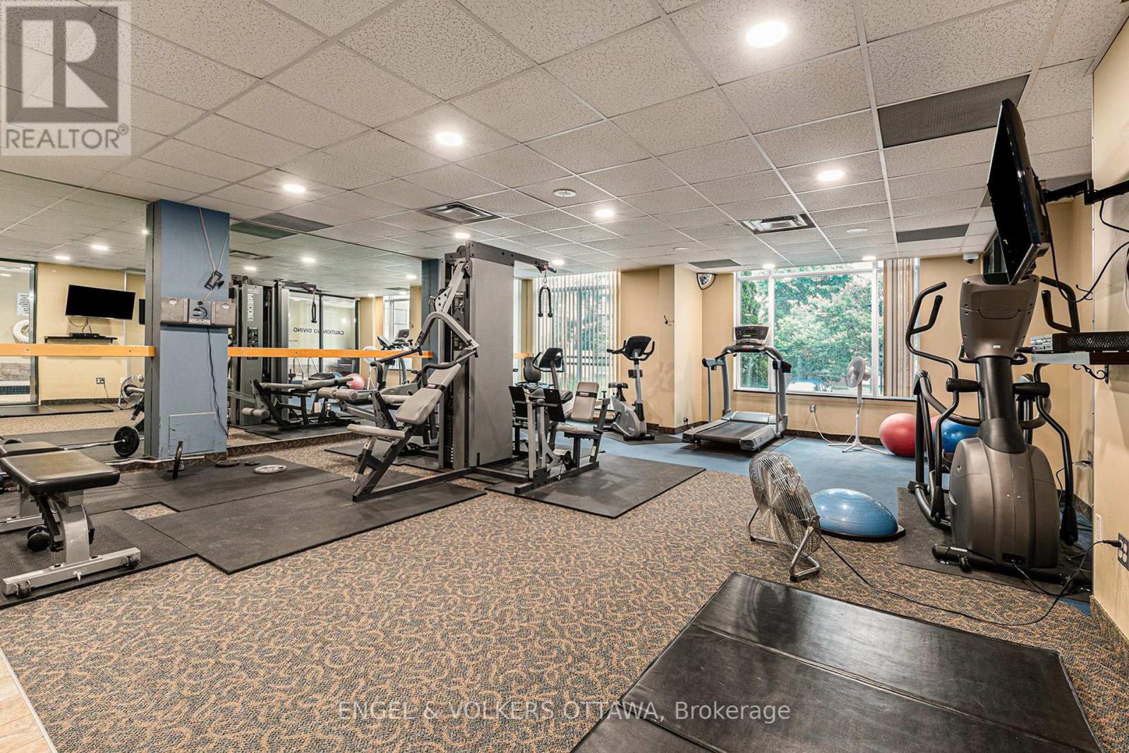 203 - 570 Laurier Avenue W, Ottawa, Ontario  K1R 1C8 - Photo 5 - X12576702