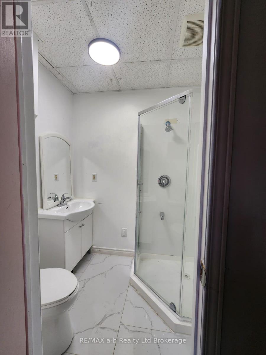 151 Albert Street, Ingersoll, Ontario  N5C 2Y3 - Photo 18 - X12576738