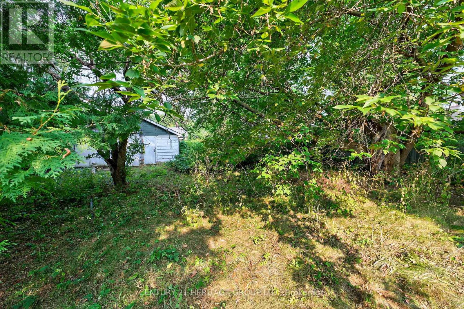 117 Lucas Street, Richmond Hill, Ontario  L4C 4P4 - Photo 34 - N12576788