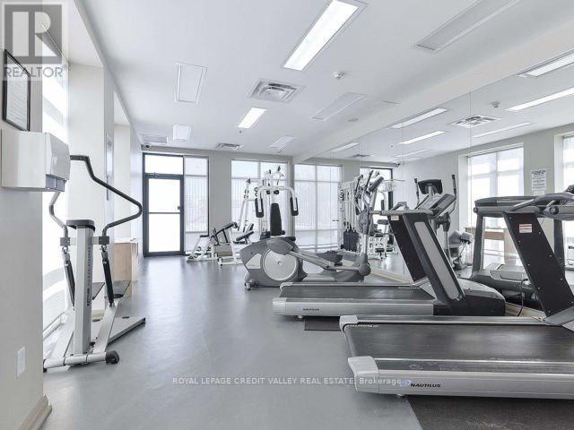 503 - 220 Forum Drive, Mississauga, Ontario  L4Z 4K1 - Photo 4 - W12576744